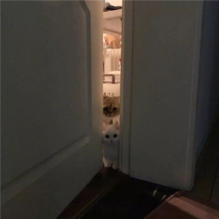 让人感到很伤感的背景图