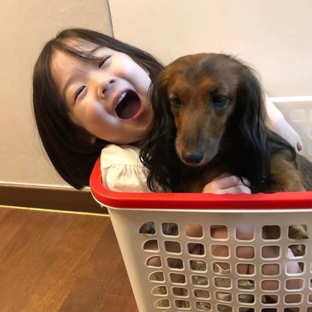 金雪可爱微信头像