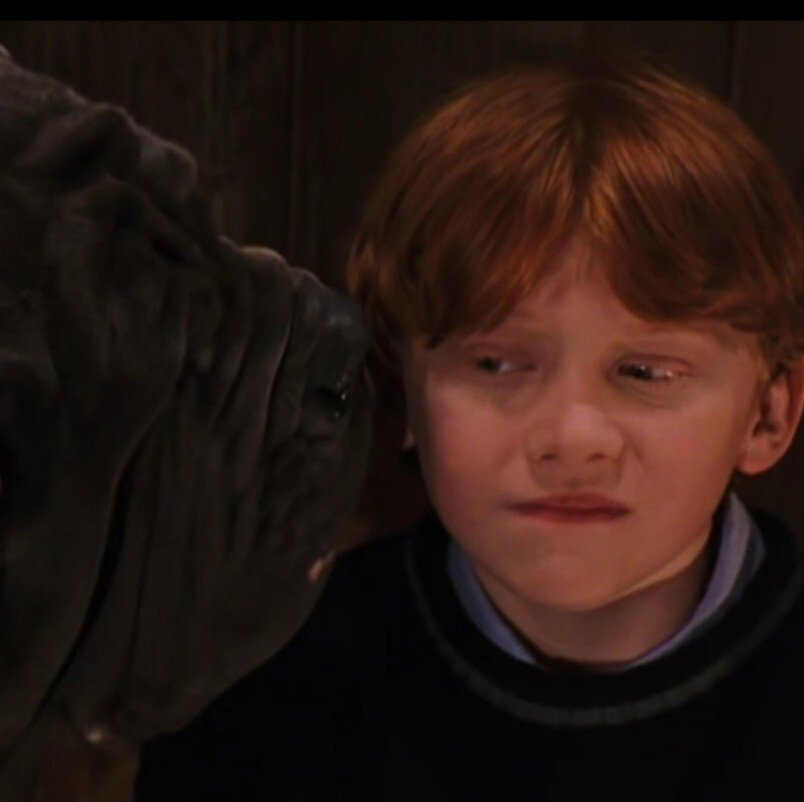 哈利波特-罗恩小可爱微信头像