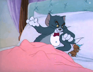 猫和老鼠动态微信表情包