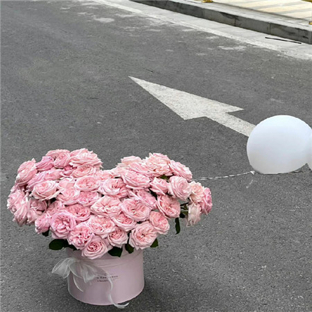 冷色系ins风图片