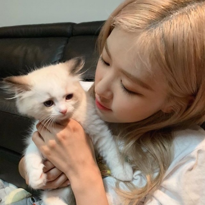 干净高级有质感的女生微信头像