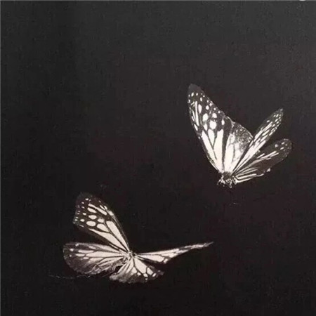 霸气又高冷的伤感背景图片