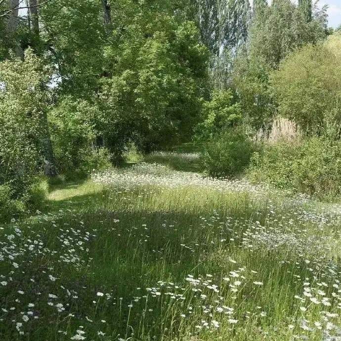 绿色系治愈小清新的微信背景图