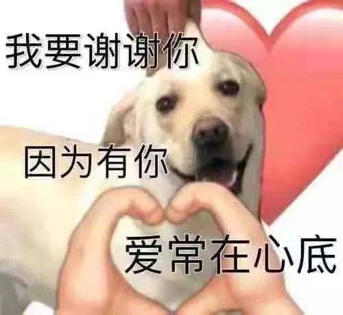 听我说谢谢你因为有你表情包