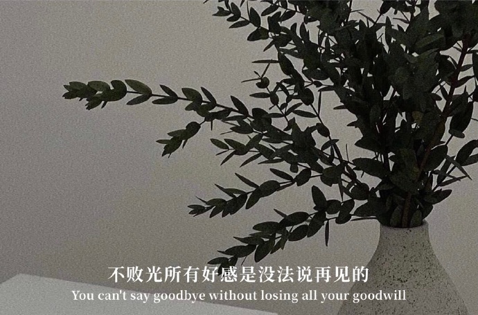 有意境个性好看的微信聊天背景图