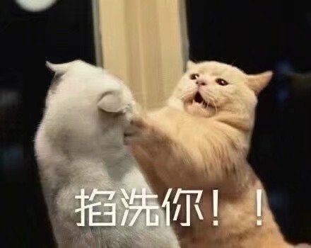 可爱呆萌微信表情包