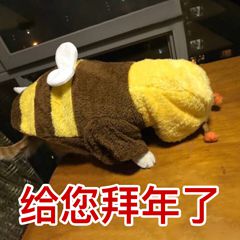 沙雕拜年微信表情包