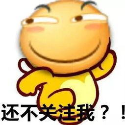 求关注套系微信表情包