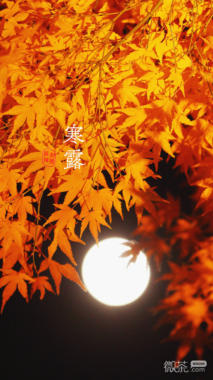 24节气绝美微信素材图片