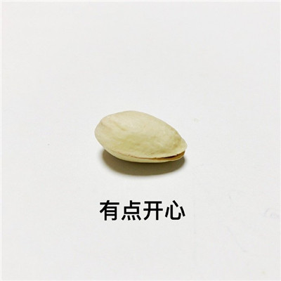 开心果的不同有趣解读微信表情包