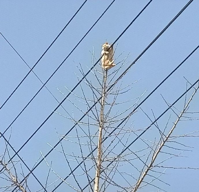 奇奇怪怪的沙雕情侣微信头像