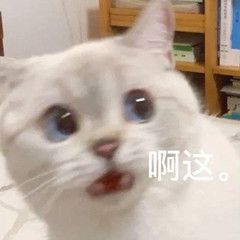 最新最好玩的热门斗图微信表情包