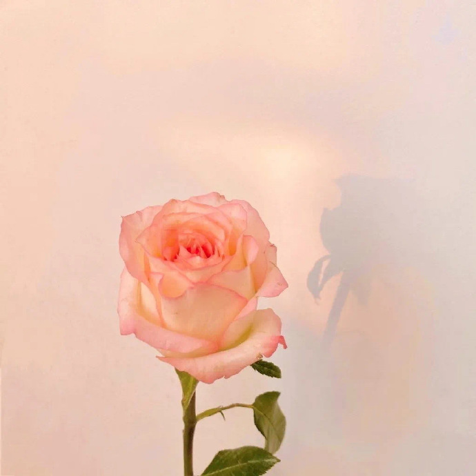 特别清新更好笑的微信朋友圈背景图