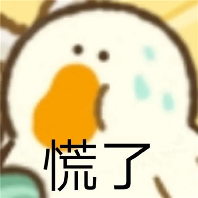 最新版肥鹅趣味表情包