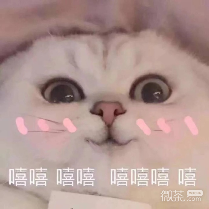 又沙雕又可爱的聊天微信表情包
