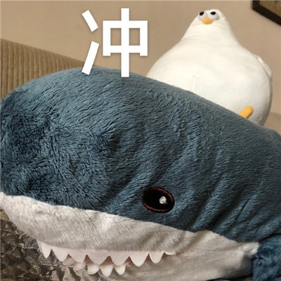 魔性海鸥搞笑微信表情包