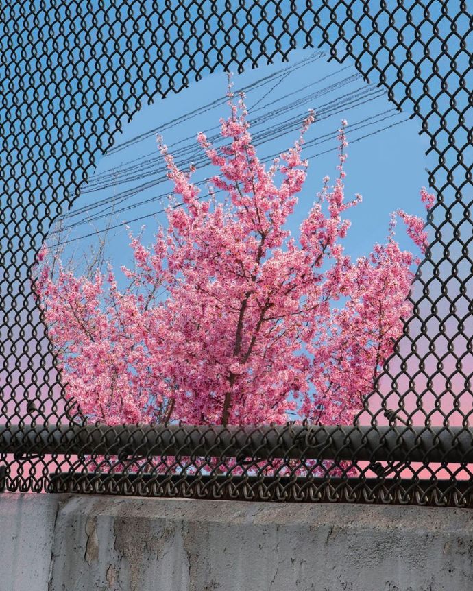 超美的景色遐想微信头像