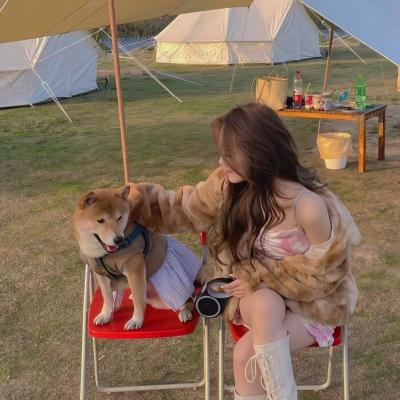 秀给单身狗看的情侣头像