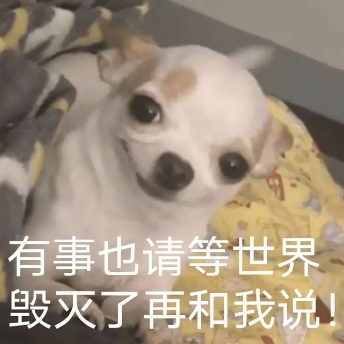 沙雕怼人聊天微信表情包