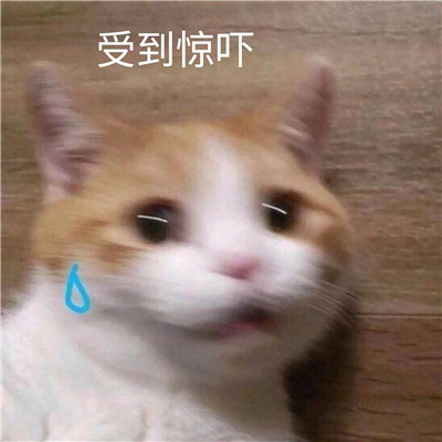 被吓到好笑表情包