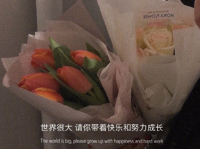 森系唯美风景微信背景图