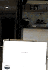 沙雕猫猫欢乐动态微信表情包