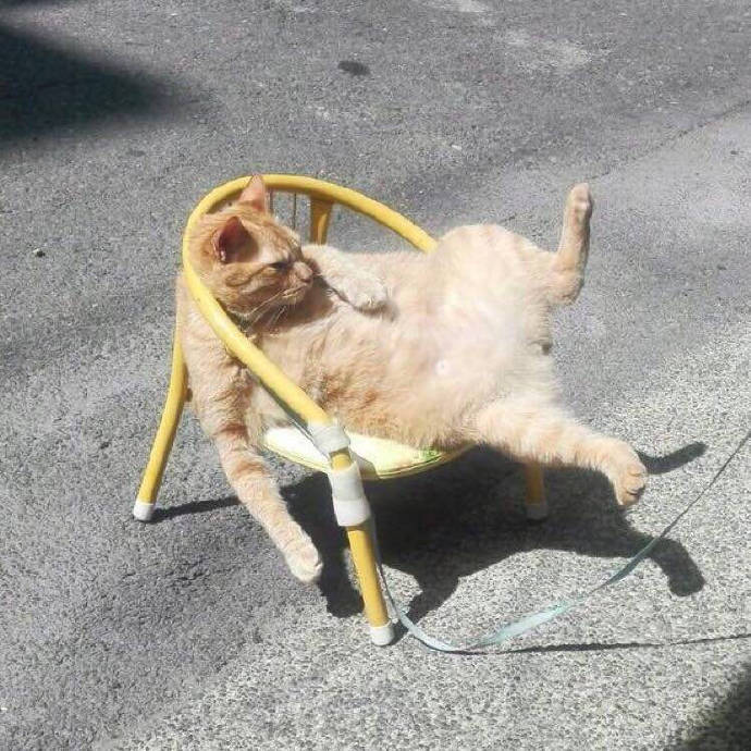 搞怪可爱好玩微信头像