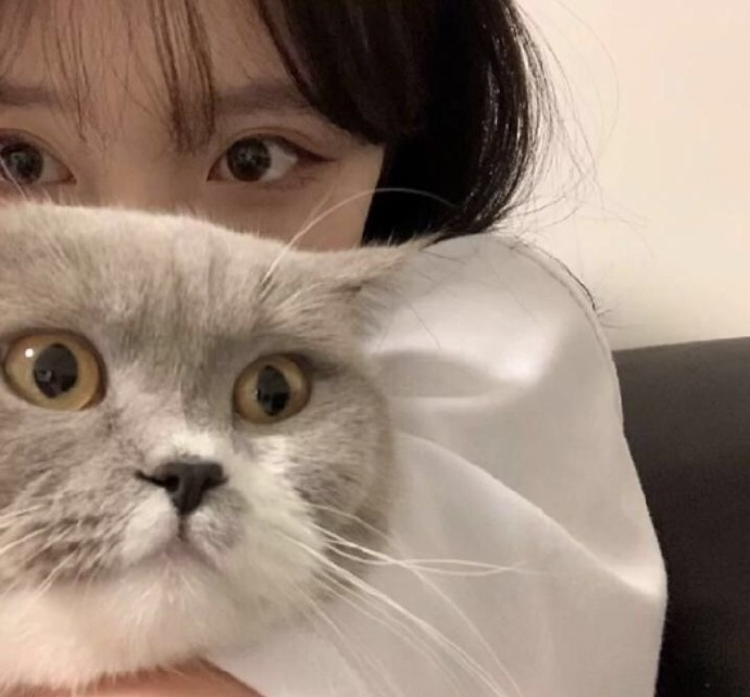 小动物与美女的个性微信头像