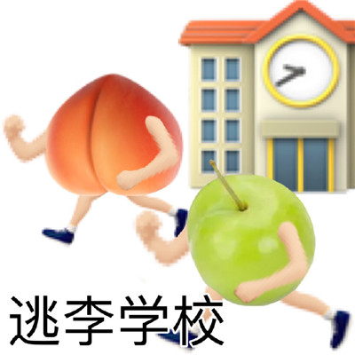 桃子谐音梗表情包合集
