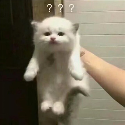 必备的沙雕爆笑微信头像