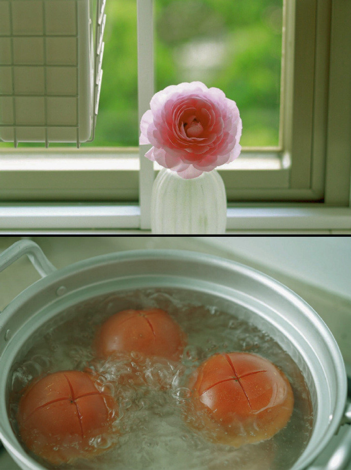 清新治愈的绿色系聊天背景图