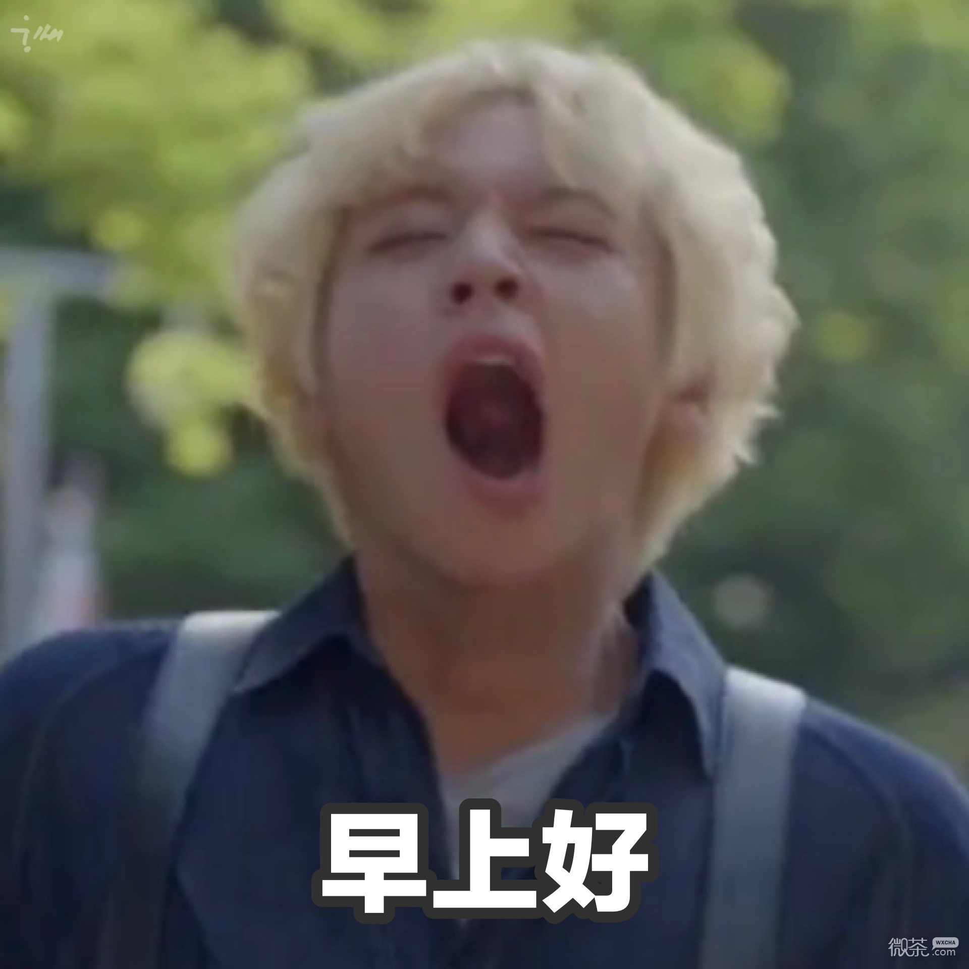 朴志训可爱微信表情包