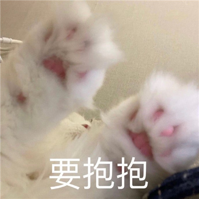 很有趣的带字表情包