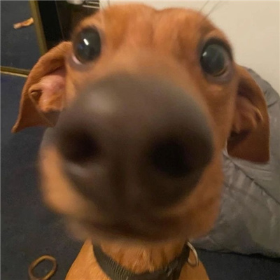 个性又很火爆的可爱头像