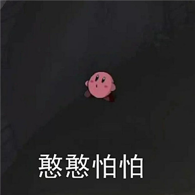 网络最火的表情合集