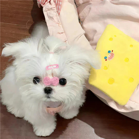 好看甜美的背景图