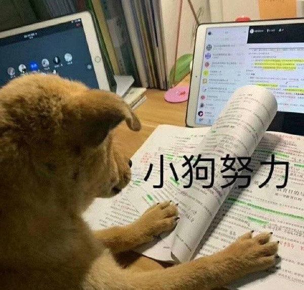 关于学习的套系微信表情包
