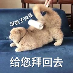 沙雕拜年微信表情包