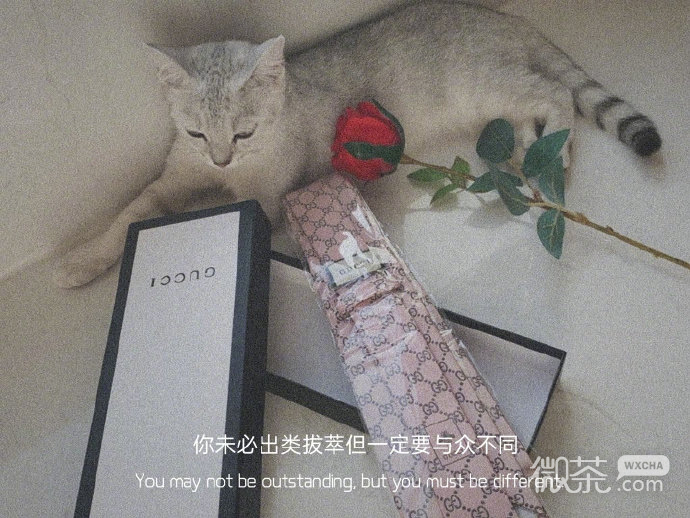 非常有意境的朦胧朋友圈配图