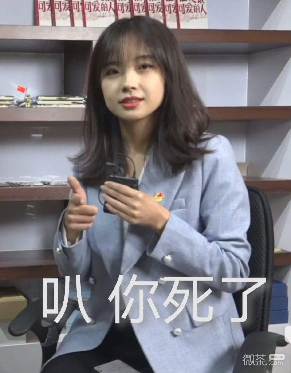 可爱主持人王冰冰微信表情包