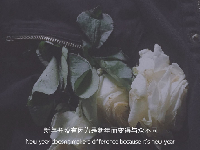 最新颖有气质的朋友圈背景图
