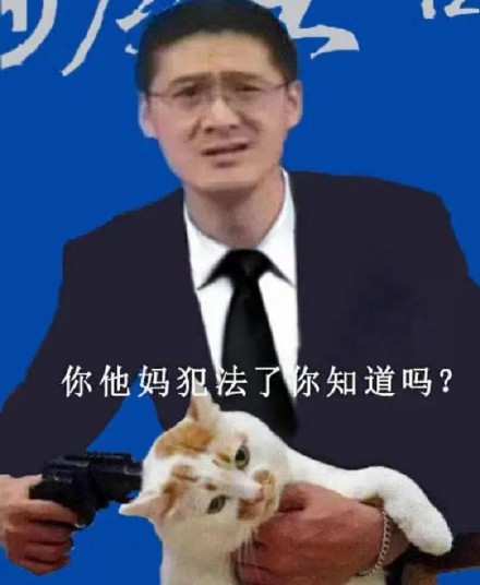 法内狂徒罗老师实用的怼人微信表情包