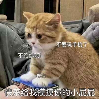 情侣之间发的色色聊天表情