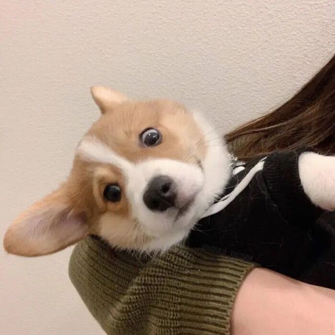 搞怪可爱好玩微信头像