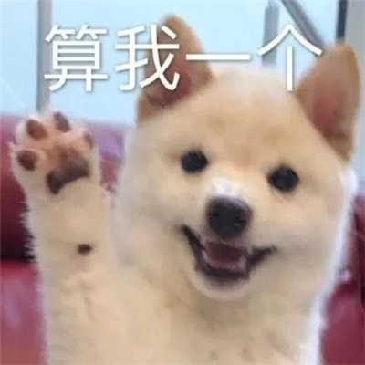 有趣又很好玩的打招呼表情包