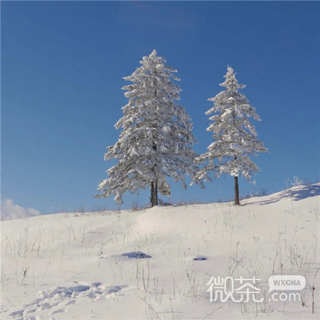 高级感又很简约的风景背景图