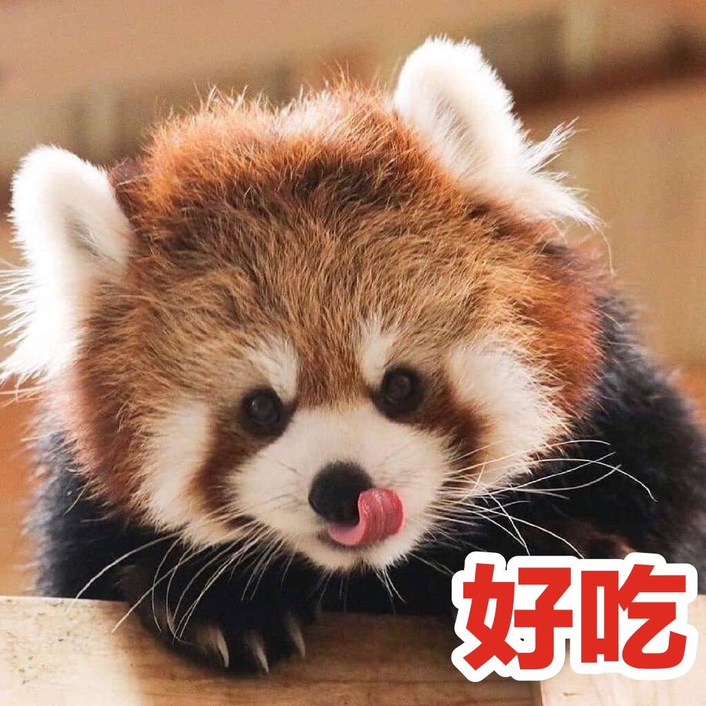 小熊猫可爱微信表情包