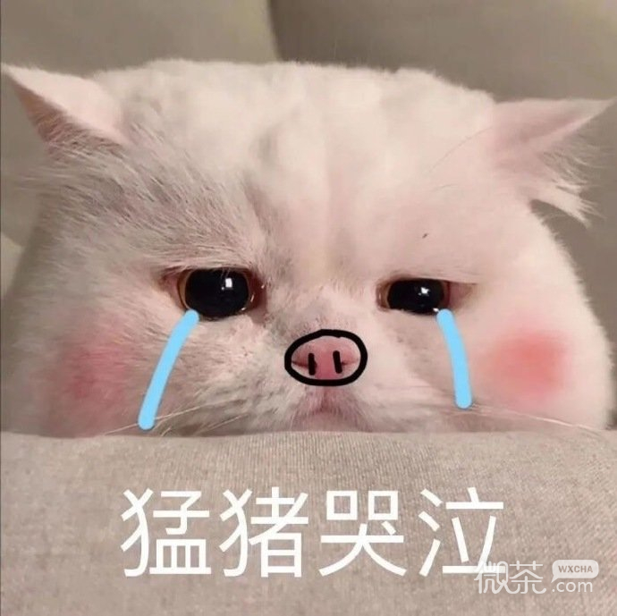 沙雕可爱聊天微信表情包
