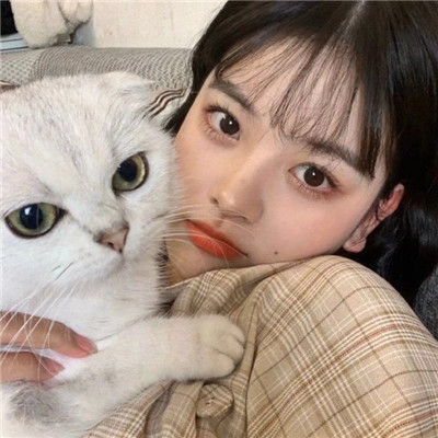 抱着猫的高颜值女生微信头像